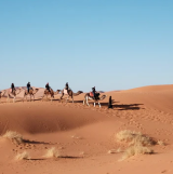 Camel caravan traversing vast desert landscape.
