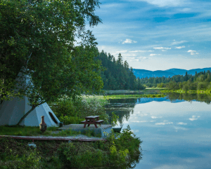Quiet lakeside view with trees and mountains
