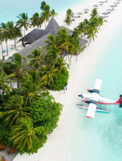 Seaplane on tropical island beach with palm trees.