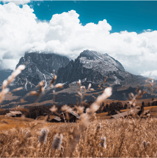 Scenic mountain view with cloudy sky and wildflowers.